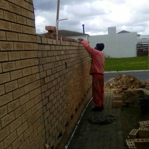 WhatsApp Image 2026-01-20 at 9.42.46 PM-2